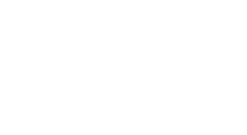 Logo.Schwanen.weiss